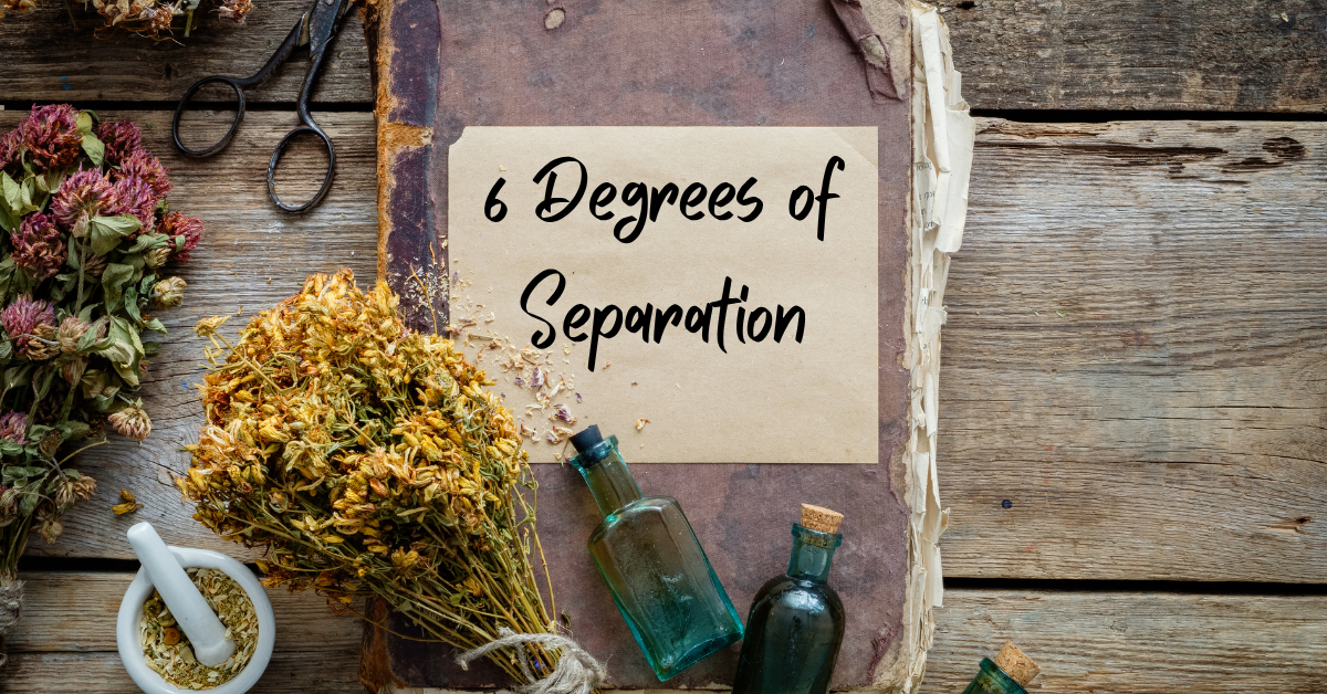 6 Degrees of Separation Page Header: Old notebook labelled '6 Degrees of Separation', laying on a weathered wooden table, surrounded by herbs, vials, and related paraphernalia